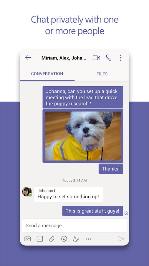 Microsoft Teams Chat Interface